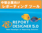 Report Designer